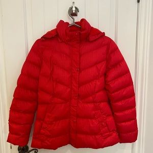 Red puffer